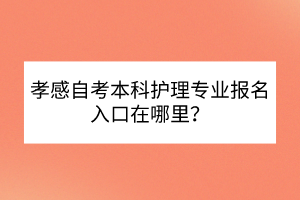 孝感自考本科護理專業(yè)報名入口在哪里？