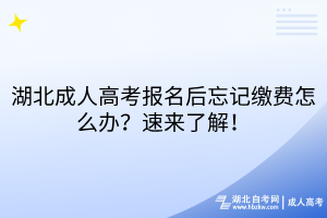湖北成人高考報(bào)名后忘記繳費(fèi)怎么辦？速來(lái)了解！