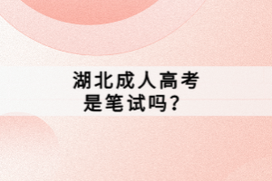 湖北成人高考是筆試嗎？