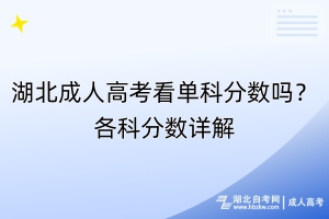 湖北成人高考看單科分?jǐn)?shù)嗎？各科分?jǐn)?shù)詳解
