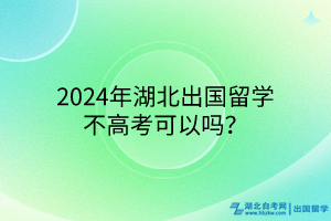 2024年湖北出國留學(xué)不高考可以嗎？