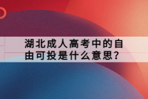 湖北成人高考中的自由可投是什么意思？