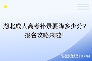 湖北成人高考補(bǔ)錄要降多少分？報(bào)名攻略來(lái)啦！