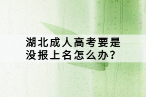 湖北成人高考要是沒報(bào)上名怎么辦？