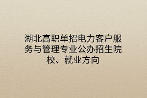 湖北高職單招電力客戶(hù)服務(wù)與管理專(zhuān)業(yè)公辦招生院校、就業(yè)方向