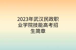 2023年武漢民政職業(yè)學(xué)院技能高考招生簡(jiǎn)章