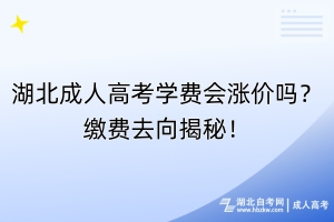 湖北成人高考學(xué)費(fèi)會漲價嗎？繳費(fèi)去向揭秘！
