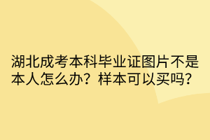 湖北成考本科畢業(yè)證圖片不是本人怎么辦？樣本可以買嗎？