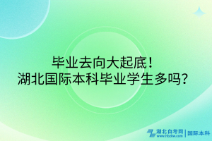 畢業(yè)去向大起底！湖北國際本科畢業(yè)學(xué)生多嗎？