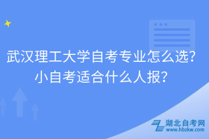 武漢理工大學(xué)自考專業(yè)怎么選？小自考適合什么人報？