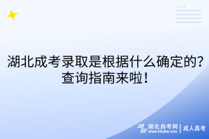 湖北成考錄取是根據(jù)什么確定的？查詢指南來啦！