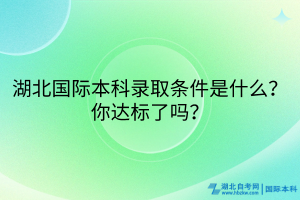 湖北國(guó)際本科錄取條件是什么？你達(dá)標(biāo)了嗎？