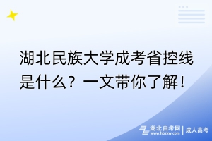 湖北民族大學成考省控線是什么？一文帶你了解！