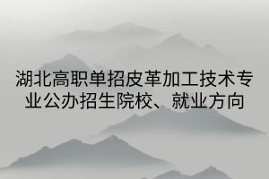 湖北高職單招皮革加工技術(shù)專業(yè)公辦招生院校、就業(yè)方向