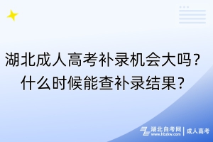 湖北成人高考補錄機會大嗎？什么時候能查補錄結(jié)果？