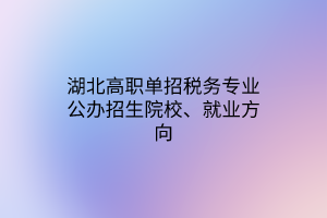 湖北高職單招稅務(wù)專業(yè)公辦招生院校、就業(yè)方向