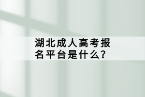 湖北成人高考報名平臺是什么？