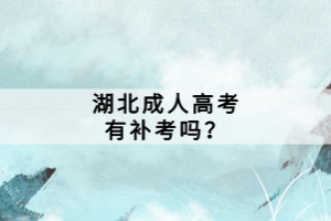 湖北成人高考有補考嗎？
