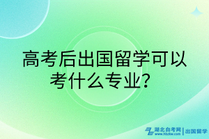 高考后出國留學(xué)可以考什么專業(yè)？