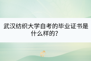 武漢紡織大學自考的畢業(yè)證書是什么樣的？
