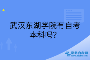 武漢東湖學(xué)院有自考本科嗎？