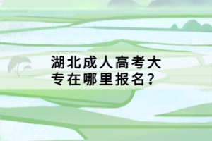 湖北成人高考大專在哪里報(bào)名？
