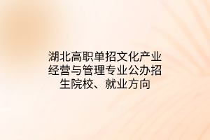 湖北高職單招文化產(chǎn)業(yè)經(jīng)營與管理專業(yè)公辦招生院校、就業(yè)方向