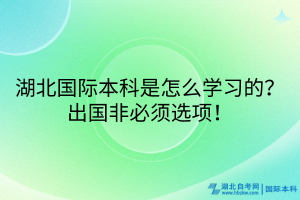 湖北國(guó)際本科是怎么學(xué)習(xí)的？出國(guó)非必須選項(xiàng)！