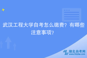 武漢工程大學(xué)自考?怎么繳費(fèi)？有哪些注意事項(xiàng)？