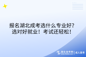 報名湖北成考選什么專業(yè)好？選對好就業(yè)！考試還輕松！