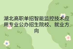 湖北高職單招智能監(jiān)控技術(shù)應(yīng)用專業(yè)公辦招生院校、就業(yè)方向