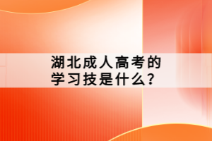 湖北成人高考的學習技是什么？