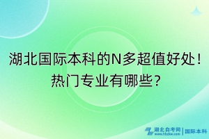 湖北國(guó)際本科的N多超值好處！熱門(mén)專(zhuān)業(yè)有哪些？
