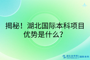 揭秘！湖北國際本科項目優(yōu)勢是什么？