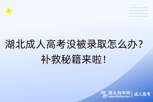 湖北成人高考沒被錄取怎么辦？補(bǔ)救秘籍來啦！