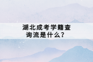 湖北成考學(xué)籍查詢流是什么？