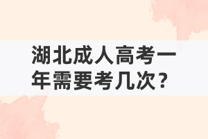 湖北成人高考一年需要考幾次？