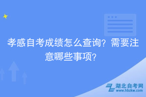 孝感自考成績怎么查詢？需要注意哪些事項？