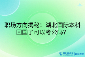 職場方向揭秘！湖北國際本科回國了可以考公嗎？