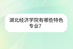 湖北經(jīng)濟學院有哪些特色專業(yè)？