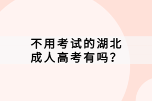 不用考試的湖北成人高考有嗎？