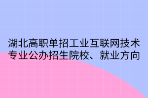 湖北高職單招工業(yè)互聯(lián)網(wǎng)技術(shù)專業(yè)公辦招生院校、就業(yè)方向