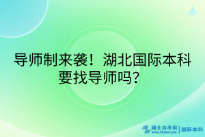 導(dǎo)師制來(lái)襲！湖北國(guó)際本科要找導(dǎo)師嗎？