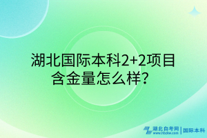 湖北國(guó)際本科2+2項(xiàng)目含金量咋樣？