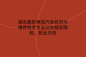 湖北高職單招汽車檢測與維修技術(shù)專業(yè)公辦招生院校、就業(yè)方向