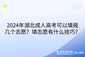 2024年湖北成人高考可以填報幾個志愿？填志愿有什么技巧？
