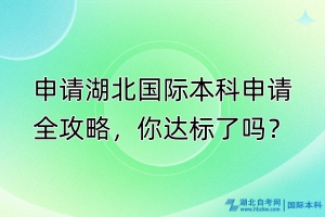 申請湖北國際本科申請全攻略，你達(dá)標(biāo)了嗎？