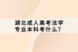 湖北成人高考法學(xué)專業(yè)本科考什么？