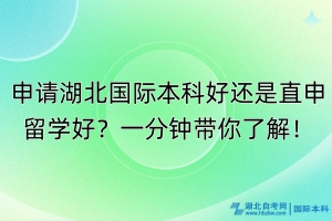 申請湖北國際本科好還是直申留學(xué)好？一分鐘帶你了解！