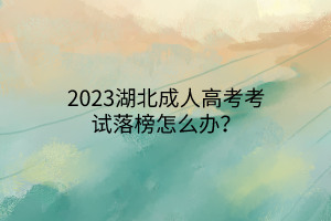 2023湖北成人高考考試落榜怎么辦？